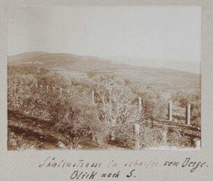 Säulenstrasse in Sebastie vom Berge. Blick nach S.