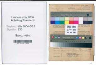Entnazifizierung Heinz Stang , geb. 14.07.1900 (Ingenieur)