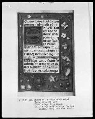 Flämisches Gebetbuch mit Kalender — Initiale S(alve) und Bordüre, Folio 8recto