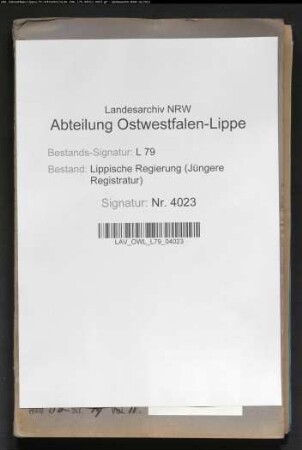 Anstellung der Lehrer am Gymnasium zu Lemgo, Band 4