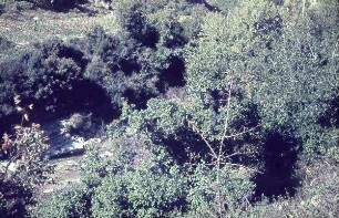 Nahr el-Kebir [bei Ksar el-Kebir]