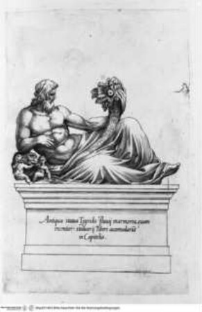 Antiquarum Statuarum Urbis Romae, Liber primus, 1. ed. - Antiqua statua Tygridis ...