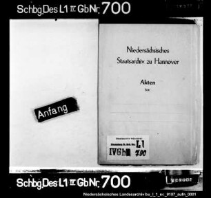 Untersuchung gegen Hans Bradenstael aus Steinhude betr. Ehebruch
