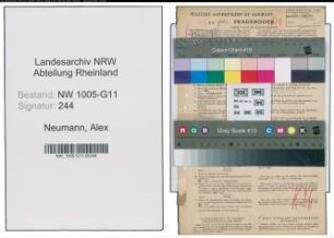 Entnazifizierung Alex Neumann , geb. 04.07.1896 (Elektriker)