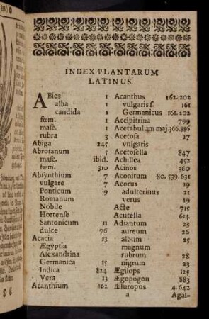 a1r-c5r, Index Plantarum Latinus