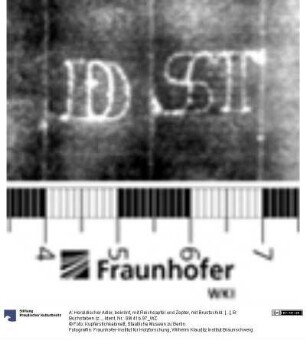 A: Heraldischer Adler, bekrönt, mit Reichsapfel und Zepter, mit Brustschild: [...]; B: Buchstaben (zweikonturig): DST