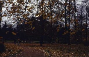 Dresden. Großer Garten. Weg mit Spaziergängern