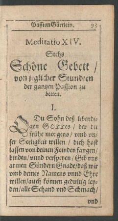 Meditatio XIV.