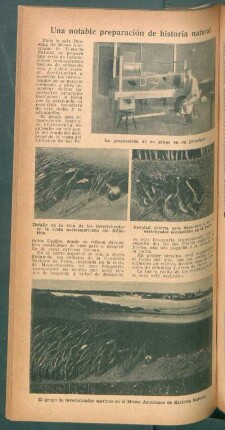 Una notable preparación de historia natural