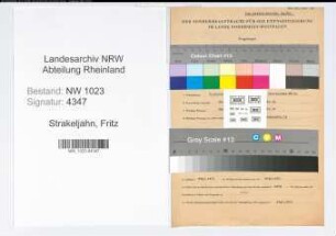 Entnazifizierung Fritz Strakeljahn , geb. 06.12.1903 (Stadtinspektor)