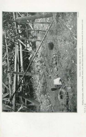 Sakai man's grave (S. Perak)