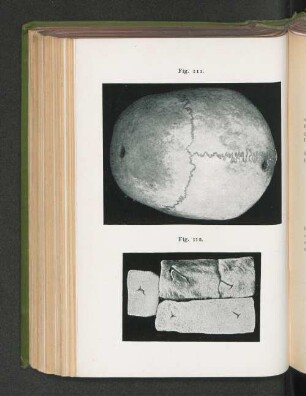 Fig. 111. Fig. 112.