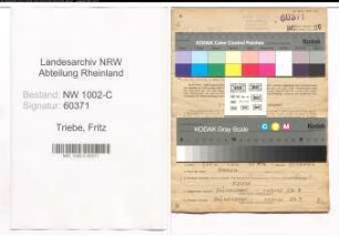 Entnazifizierung Fritz Triebe, geb. 19.11.1906 (Kohlenhaendler)