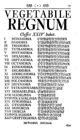 Vegetabile Regnum Classes XXIV habet.