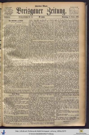 08.10.1893 (Zweites Blatt)