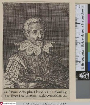 [Gustav Adolf II.]