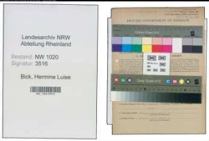 Entnazifizierung Hermine Luise Bick , geb. 13.11.1919 (Kaufmaennische Angestellte)