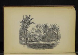 Monument Hill-Matachin.