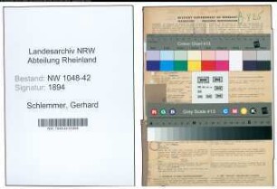 Entnazifizierung Gerhard Schlemmer , geb. 03.08.1907 (Buchhalter)