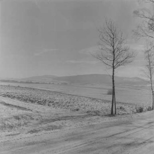 Landschaften : Oberlausitz. Lausitzer Bergland. Winteraufnahme