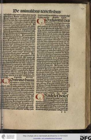 Capitulum XXVIII.