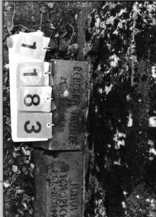 Grabstein 1183 [Hahn S. 244 Grab-Nr. 668]