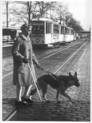 Oftersheim. Blinde mit Führhund im Straßenverkehr