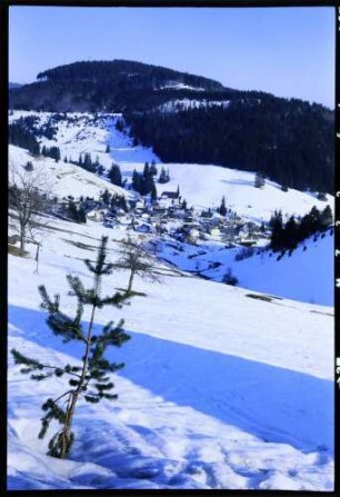Muggenbrunn: Blick vom Köpfle auf Muggenbrunn