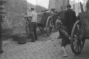 Stralsund? Leiterwagen eines Fuhrwerkes mit Kartoffeln. Bauer beim Entladen in Körbe, im Vordergrund versucht ein Kind, wegrollende Kartoffeln zu erhaschen