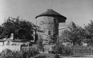 Beiersdorf. Turmholländer