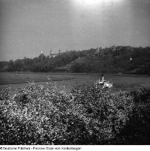 Elbe im Raum Dresden; Elbe Baumblüte Loschwitz