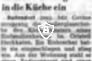 Einbrecher stieg in die Küche ein