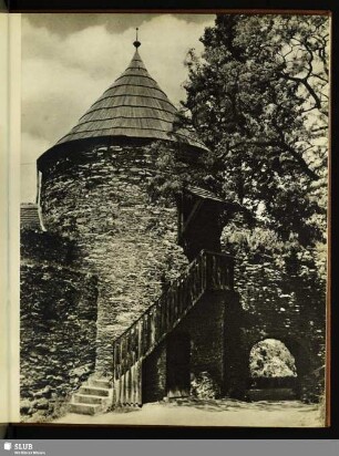 6 Burgruine Elsterberg