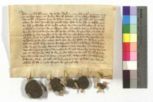 [Text = U / 1363 August 12]. Mit Eid besagt vor Rorich von Sterrenberg, Kämmerer, und den Richtern Wilkin und Johann. "Publicatum 1363 feria secunda in vigilia assumptionis beate Marie virginis gloriose."