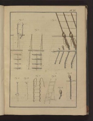Pl. 24. Fig. 1. bis Fig. 3., Fig. A. bis Fig. E.