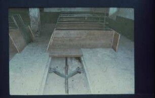 Fotografie: Sauenhaltung, Kastenstand, Spaltenboden, Faltschieber