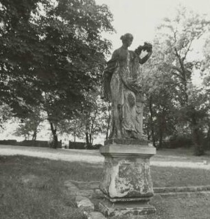 Flora : Gamig, Park des ehemaligen Rittergutes, Flora aus dem Schlosspark von Röhrsdorf