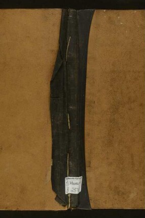 Leichenschauregister Teutschneureut