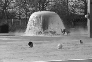 Beginn der Badesaison im Rheinhafenbad