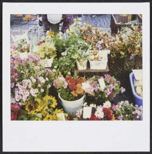 Blumenstand auf dem Markt in Weimar
