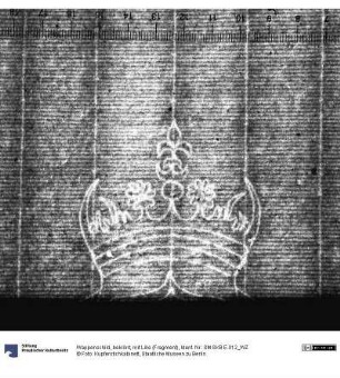 Wappenschild, bekrönt, mit Lilie (Fragment)