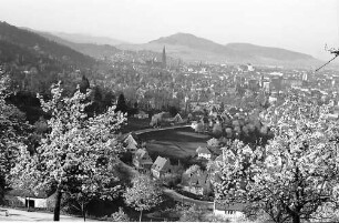 Blick auf Freiburg mit Schönberg durch die Blüten der Eichhalde