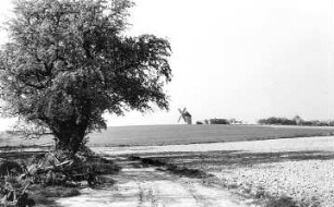 Hochkirch-Rodewitz. Erdholländer, Ansicht von Wawitz aus