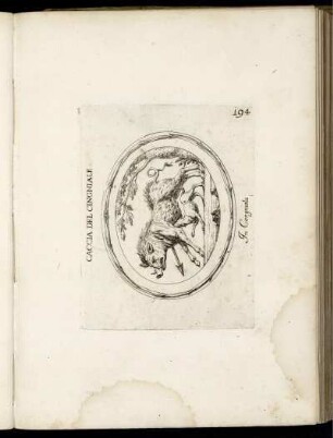 Caccia Del Cingniale