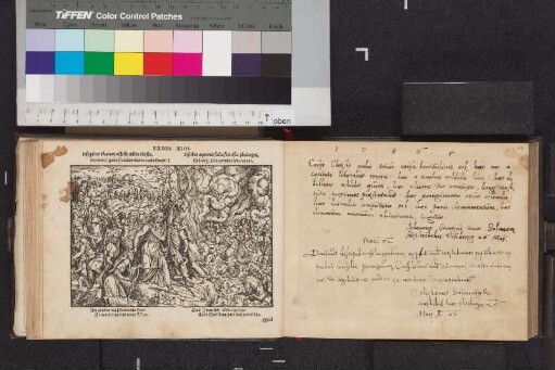 Otto, Solms-Sonnenwalde, Graf; Blatt 14,2