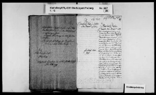 Einführung einer eigenen Konstruktion von eisernen Hämmern statt der bei Pochwerken üblichen Stempel