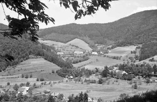 Oberglottertal: Blick ins Glottertal zum Glotterbad