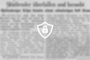 Skatbruder überfallen und beraubt