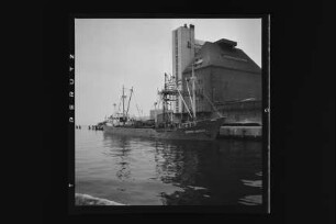 Bernd Wesch (1951), Frachtschiff, Reederei Jonny Wesch, Hamburg, Bau-Nr. 182