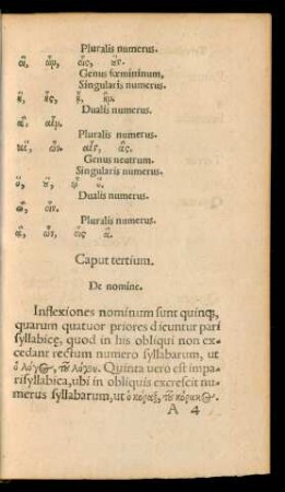 Caput tertium. De nomine.